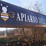 Ambiente, natura e divertimento: nasce l'Apiario dell'Etna