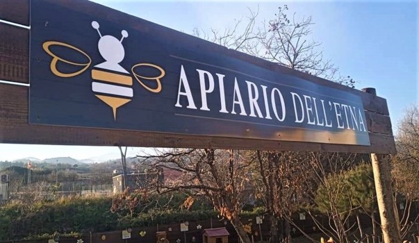 Ambiente, natura e divertimento: nasce l’Apiario dell’Etna