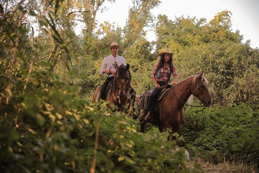 Caccia al tartufo: con ButteroZone l’escursione a cavallo si fa gourmet