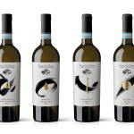 Soave DOC, simbolo di longevità ed eccellenza: prosegue il percorso di Famiglia Castagnedi verso l’iconicità del grande bianco veronese