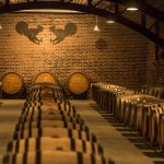 Tenuta Mazzolino tra i protagonisti di “Oltrepò Terra di Pinot Nero”