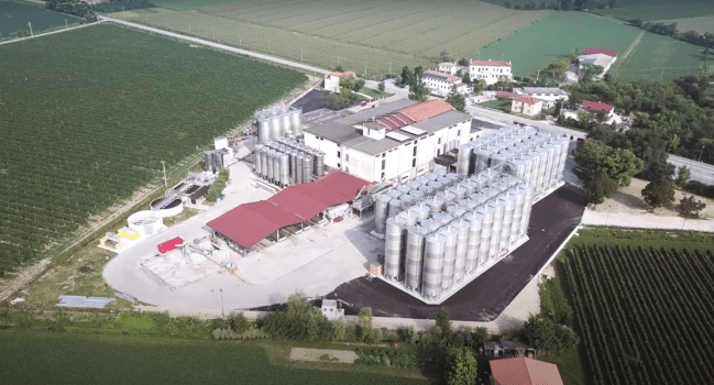 Vi.V.O. Cantine, investimenti e innovazioni: strategie per una crescita eccezionale del fatturato (+41,6%)