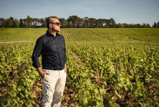 Comte De Montaigne, vendemmia 2023:  Intervista a Stéphane Revol
