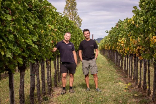 Aransat miglior orange a Vinoway Selection 2024