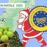Bergamotto di Reggio Calabria IGP: un Natale indimenticabile per Rosario Previtera + Video