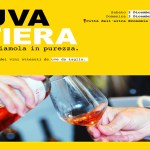 A Roma torna Uva Fiera, mostra mercato dei vignaioli che valorizzano i vitigni autoctoni