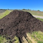 Progetto Enochar, economia circolare in vigneto: tecniche innovative per preservare la fertilità del suolo