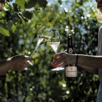 Pellegrini S.p.A. brinda a San Valentino con le bollicine Monfort