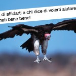 Cosa dicono i giornali di Gianmario Bertollo, Capitan Sdebito, Legge3.it