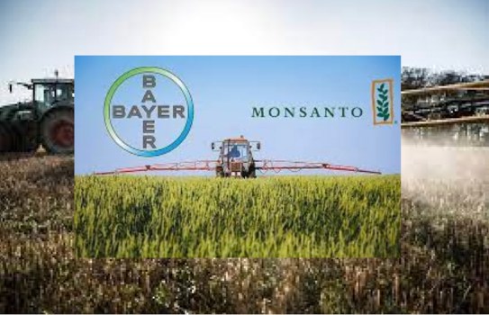 Fusione Bayer-Monsanto: gli osservatori della lobby denunciano il caso della doppia porta girevole