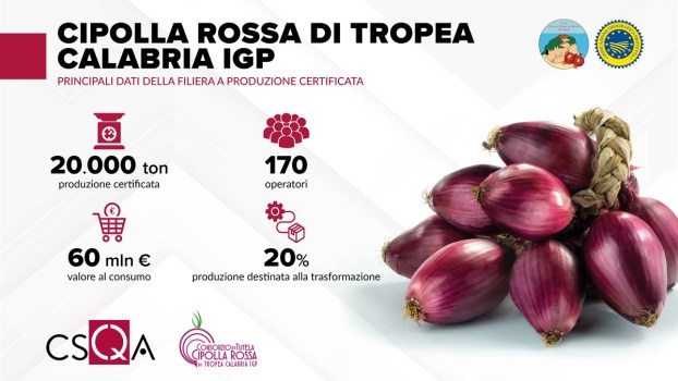 Cipolla Rossa di Tropea Calabria IGP: dalla filiera certificata 60 mln di valore al consumo