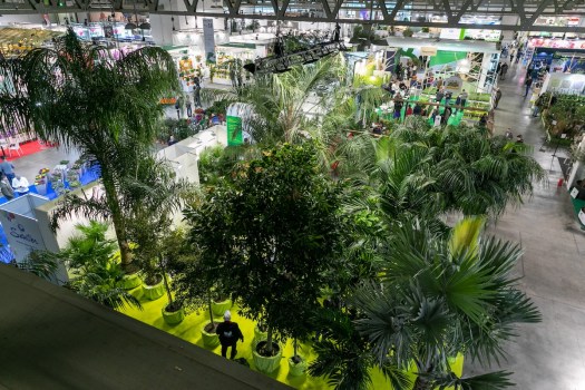 Myplant & Garden 2024: Innovazione, Sostenibilità e Bellezza nei Giardini del Futuro