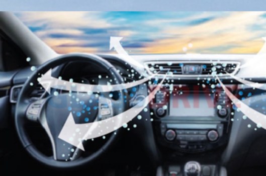 Muffa nell’Auto: Una Minaccia Invisibile che Colpisce la Tua Salute