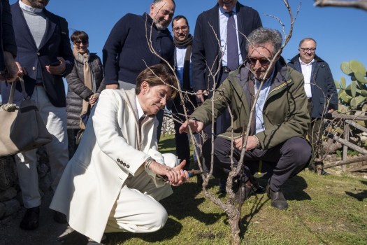 Federica Cucinelli è la Madrina della Potatura del Vigneto sul Castello di Copertino