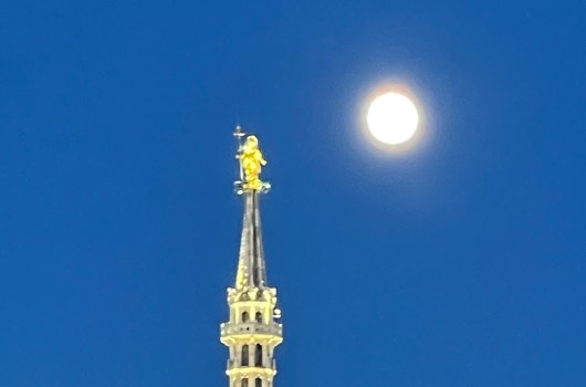 Dibattito UNIMI “Verso una Ever Closer Union tra popoli europei?”  