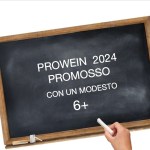 Prowein 2024: Edizione horribilis a Dusseldorf per gli espositori Italiani