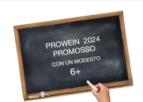 Prowein 2024: Edizione horribilis a Dusseldorf per gli espositori Italiani
