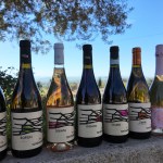 Tenute Navarra a Sicilia en Primeur a Cefalù e Best Wine Stars a Milano