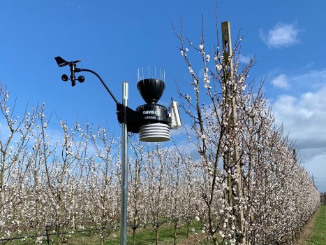 Sensori in campo e intelligenza artificiale, in Emilia-Romagna la più grande rete di monitoraggio agronomico d’Italia