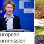 Parlamento europeo e agricoltura: sostenere il settore  per garantire la sicurezza alimentare dell'Unione Europea