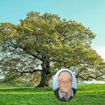 L'ultima stagiòn, l'ultima giurnò (in dialetto acquese) di Pinein du Lubèrt, Contadino e Poeta del Monferrato