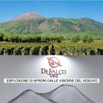 De Falco Vini d'eccellenza del Vesuvio -  Vinitaly 2024 (video)