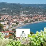 Grande successo per Aromatica 2024: un'esperienza sensoriale unica a Diano Marina