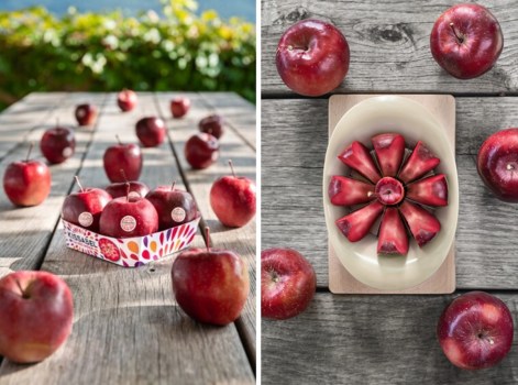 Mele Kissabel®, stagione in crescita per l’Emisfero Sud