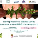 Erbe spontanee e alimentazione mediterranea: sostenibilità e benessere a tavola, da Peppe Zullo