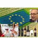 Come sta il vino Italiano? Diciamo benino ma le prospettive sono molto preoccupanti