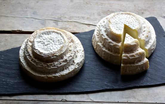 Il Montébore è un formaggio antico, tra i più rari al mondo – Briciole Letterarie di Franco Montaldo