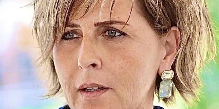 Intervista a Erica Mazzetti: la rivoluzione del Testo unico costruzioni