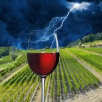 IL VINO MONDIALE NECESSITA DI UNA RIVOLUZIONE PLANETARIA