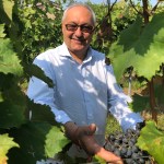 Speciale Vino  - Intervista a Giampietro Comolli - Riflessione sul 2024, prospettive  2025 e oltre