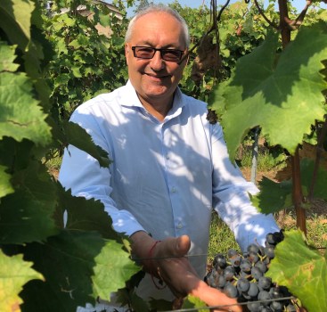 Speciale Vino  – Intervista a Giampietro Comolli – Riflessione sul 2024, prospettive  2025 e oltre
