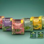 Planet Farms, la prima Vertical Farm a Marca 2025