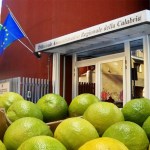 I coltivatori di Bergamotto di Reggio Calabria sono forse figli di un Dio minore?