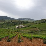 Baglio di Pianetto a Vinitaly 2025