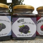 Nocetum: dove la bontà ha il sapore della solidarietà... alle porte di Milano