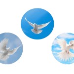 Le colombe speciali di tre artigiani speciali per la Pasqua 2025