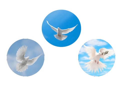 Le colombe speciali di tre artigiani speciali per la Pasqua 2025