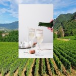 Franciacorta: l’eccellenza italiana delle bollicine da riscoprire a tavola