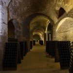 Sparkling Canelli 2025: due giorni di bollicine, arte e cultura nel cuore del vino