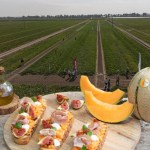 Consorzio del Melone Mantovano IGP - Convegno