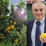 Intervista a Rosario Previtera: sta sorgendo il sole per il Bergamotto di Reggio Calabria IGP 