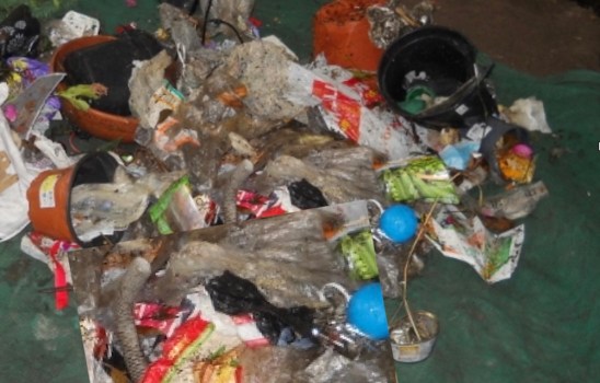 Natale sostenibile 2025: meno sprechi, più consapevolezza