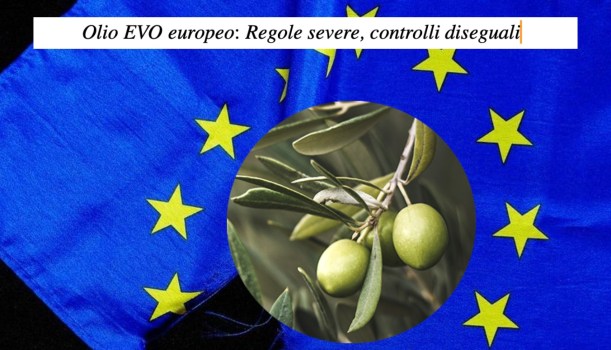Olio EVO europeo: regole severe, controlli diseguali