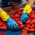 Appuntamenti Top a Sigep 2026