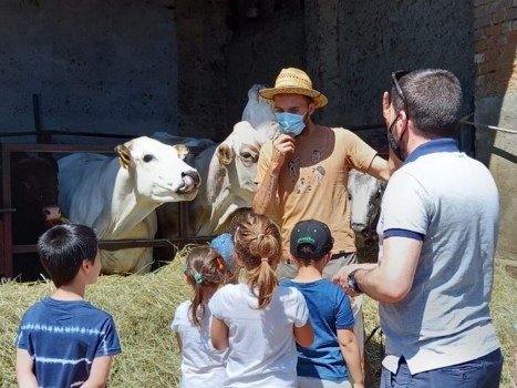 AGRITURISMO CASCINA CALDERA, SOSPESA TRA I SECOLI