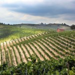 Nasce il Cantiere in Cantina: il Gran Monferrato costruisce il suo turismo autentico tra agricoltura e territorio